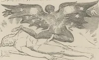 Picture 18 of 19 from For the sexes: the gates of Paradise (1913), leaf 41