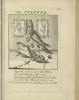 Picture 13 of 109 from A political and satirical history of the years 1756, 1757, 1758, 1759, 1760, 1761, and 1762. : In a series of 112 humourous and entertaining prints. Contraining all the most remarkable transactions, characters and caricatures of those memorable years. To which is annexed, an explanatory account or key to every print (1762), leaf 52