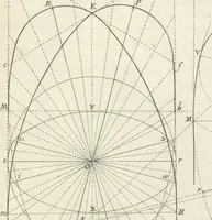 An illustration from Parallele de l'architectvre antiqve et de la moderne : avec vn recveil des dix principavx avthevrs qui ont écrit des cinq ordres ; sçauoir Palladio et Scamozzi, Serlio et Vignola, D. Barbaro et Cataneo, L.B. Alberti et Viola, Bvllant et De Lorme, comparez entre eux. Les trois ordres Grecs, le Doriqve, l'Ioniqve & le Corinthien, font la premiere partie de ce Traitté: Et les deux Latins, le Toscan & le Composite, en font la derniere (1650)