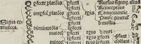 An illustration from Musica (1507)
