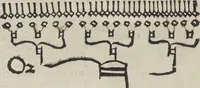 An illustration from Musica (1507)
