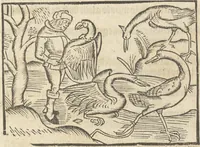 An illustration from Dit boecxken leert hoe men mach voghelen vanghen metten handen. Ende hoemen mach visschen vanghe[n] mette[n] handen ande oeck andersins (1500)