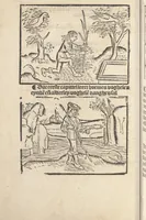 An illustration from Dit boecxken leert hoe men mach voghelen vanghen metten handen. Ende hoemen mach visschen vanghe[n] mette[n] handen ande oeck andersins (1500)