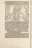 An illustration from Dit boecxken leert hoe men mach voghelen vanghen metten handen. Ende hoemen mach visschen vanghe[n] mette[n] handen ande oeck andersins (1500)
