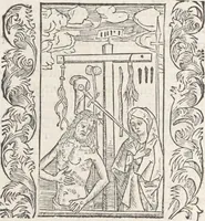 Picture 4 of 13 from In laude[m] gloriose Virginis Marie multoru[m]q[ue] Sanctoru[m] varij generis carmina Sebastiani Brant (1494), leaf 29