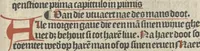An illustration from Den spiegel van Sassen va[n] allen keyserlijken rechten (1504)