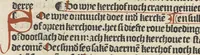 An illustration from Den spiegel van Sassen va[n] allen keyserlijken rechten (1504)