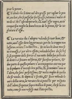Picture 91 of 95 from Libro di M. Giouanbattista Palatino, cittadino romano, nelqual s'insegna à scriuere ogni sorte lettera, antica, et moderna, di qualunque natione, con le sue regole, et misure, et essempi : et con vn breue, et vtil discorso de le cifre (1545), leaf 124