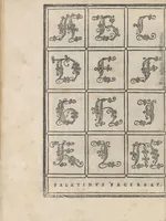 Picture 51 of 95 from Libro di M. Giouanbattista Palatino, cittadino romano, nelqual s'insegna à scriuere ogni sorte lettera, antica, et moderna, di qualunque natione, con le sue regole, et misure, et essempi : et con vn breue, et vtil discorso de le cifre (1545), leaf 73