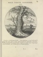 Picture 38 of 43 from Maechden-pflicht ofte ampt der ionck-vrovvven in eerbaer liefde aen-ghewesen door sinne-beelden. Officivm puellarum in castis amoribus emblemate expressum (1618), leaf 102