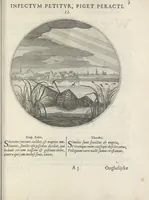 Picture 4 of 43 from Maechden-pflicht ofte ampt der ionck-vrovvven in eerbaer liefde aen-ghewesen door sinne-beelden. Officivm puellarum in castis amoribus emblemate expressum (1618), leaf 24