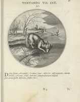 Picture 16 of 43 from Maechden-pflicht ofte ampt der ionck-vrovvven in eerbaer liefde aen-ghewesen door sinne-beelden. Officivm puellarum in castis amoribus emblemate expressum (1618), leaf 50