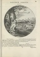 Picture 23 of 43 from Maechden-pflicht ofte ampt der ionck-vrovvven in eerbaer liefde aen-ghewesen door sinne-beelden. Officivm puellarum in castis amoribus emblemate expressum (1618), leaf 68