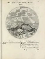 Picture 29 of 43 from Maechden-pflicht ofte ampt der ionck-vrovvven in eerbaer liefde aen-ghewesen door sinne-beelden. Officivm puellarum in castis amoribus emblemate expressum (1618), leaf 82