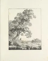 Picture 6 of 15 from Erste im Königreich Sachsen erschienene Sammlung artistischer Versuche im Steindrucke (1806), leaf 30