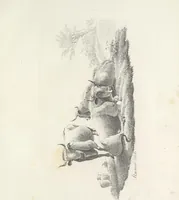 Picture 8 of 15 from Erste im Königreich Sachsen erschienene Sammlung artistischer Versuche im Steindrucke (1806), leaf 38