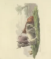An illustration from Erste im Königreich Sachsen erschienene Sammlung artistischer Versuche im Steindrucke (1806)