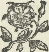 An illustration from Illvstrivm anachoretarvm elogia, siue Religiosi viri mvsaevm (1625)