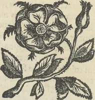 An illustration from Illvstrivm anachoretarvm elogia, siue Religiosi viri mvsaevm (1625)