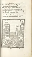 An illustration from Mousaiou Poiemation Ta kath' Hērō kai Leandron ; Orpheōs Argonautika ; Tou autou humnoi ; Orpheus peri lithōn = Musaei Opusculum de Herone & Leandro ; Orphei argonautica ; Eiusdem hymni ; Orpheus de lapidibus (1517)