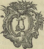 An illustration from Description du jubilé de sept cens ans de S. Macaire, patron particulier contre la peste, qui sera céléré dans la ville de Grand ... a commencer le 30. de mai jusqu'au 15. juin 1767, avec le détail ultérieur des cérémonies, solemnités, cavalcade, ornemens & feux d'artifice, &c. &c. qui auront lieu à cette occasion (1767)