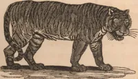 An illustration from The tales of Peter Parley about America : with engravings (1827)