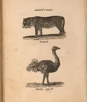 Picture 22 of 33 from The tales of Peter Parley about America : with engravings (1827), leaf 106