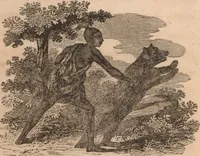 An illustration from The tales of Peter Parley about America : with engravings (1827)