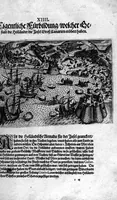 An illustration from Additamentvm; das ist, Zuthuung zweyer fürnemmer Reysen ... Herrn Francisci Draken ... in die West Indien vnd Americam gethan : neben noch etlichen Figuren ... so beydes in das siebende vnd achte Theil Americae gehören. Item, die Reyse der holländischen Armada in die Insel Gross Canarien , welche ... 1599 ... von Holland ... ausgefahren (1600)