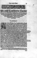 Picture 23 of 81 from Americae das fünffte Buch, vol schöner vnerhörter Historien, auss dem andern Theil Ioannis Benzonis gezogen: von der Spanier Wüten, beyd wider ... die Nigriten, vnnd auch die ... Indianer: wie die Spanier von den frantzösischen Meerräubern ... angriffen vnd geplündert worden ... wie sie erstlich das Neuwe Spanien erfunden haben ... Sampt ... Erklärung der Historien ... Auch einer Landtafel, dess Neuwen Spanien (1613), leaf 38
