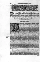 Picture 25 of 81 from Americae das fünffte Buch, vol schöner vnerhörter Historien, auss dem andern Theil Ioannis Benzonis gezogen: von der Spanier Wüten, beyd wider ... die Nigriten, vnnd auch die ... Indianer: wie die Spanier von den frantzösischen Meerräubern ... angriffen vnd geplündert worden ... wie sie erstlich das Neuwe Spanien erfunden haben ... Sampt ... Erklärung der Historien ... Auch einer Landtafel, dess Neuwen Spanien (1613), leaf 41