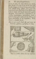 Picture 14 of 19 from Hocus pocus, or The whole art of legerdemain, in perfection : by which the meanest capacity may perform the whole without the help of a teacher : together with the use of all the instruments belonging thereto : to which is now added abundance of new and rare inventions (1795), leaf 84