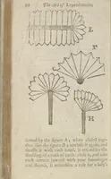 Picture 17 of 19 from Hocus pocus, or The whole art of legerdemain, in perfection : by which the meanest capacity may perform the whole without the help of a teacher : together with the use of all the instruments belonging thereto : to which is now added abundance of new and rare inventions (1795), leaf 94