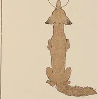 Picture 8 of 38 from Fables choisies pour les enfants et illustrées par B. de Monvel (1888), leaf 11