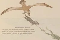 Picture 21 of 38 from Fables choisies pour les enfants et illustrées par B. de Monvel (1888), leaf 31