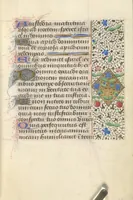 Picture 118 of 176 from [Book of hours] (1400), leaf 178