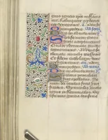 Picture 128 of 176 from [Book of hours] (1400), leaf 195
