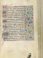 Picture 134 of 176 from [Book of hours] (1400), leaf 202