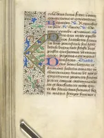 Picture 137 of 176 from [Book of hours] (1400), leaf 209