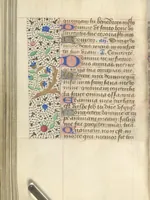 Picture 142 of 176 from [Book of hours] (1400), leaf 215