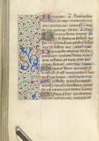 Picture 143 of 176 from [Book of hours] (1400), leaf 217