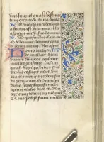 Picture 149 of 176 from [Book of hours] (1400), leaf 234