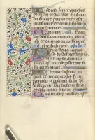 Picture 156 of 176 from [Book of hours] (1400), leaf 259