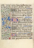 Picture 157 of 176 from [Book of hours] (1400), leaf 261