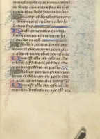Picture 31 of 176 from [Book of hours] (1400), leaf 50