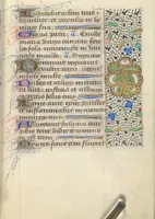 Picture 40 of 176 from [Book of hours] (1400), leaf 64