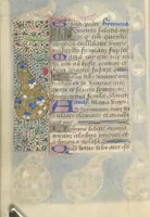 Picture 65 of 176 from [Book of hours] (1400), leaf 99