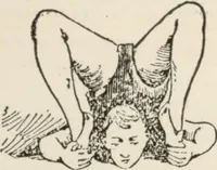An illustration from How to be a contortionist! or, Bending made easy : a practical self instructor (1896)