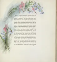An illustration from The procession of flowers in Colorado (1888)