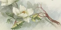 An illustration from The procession of flowers in Colorado (1888)